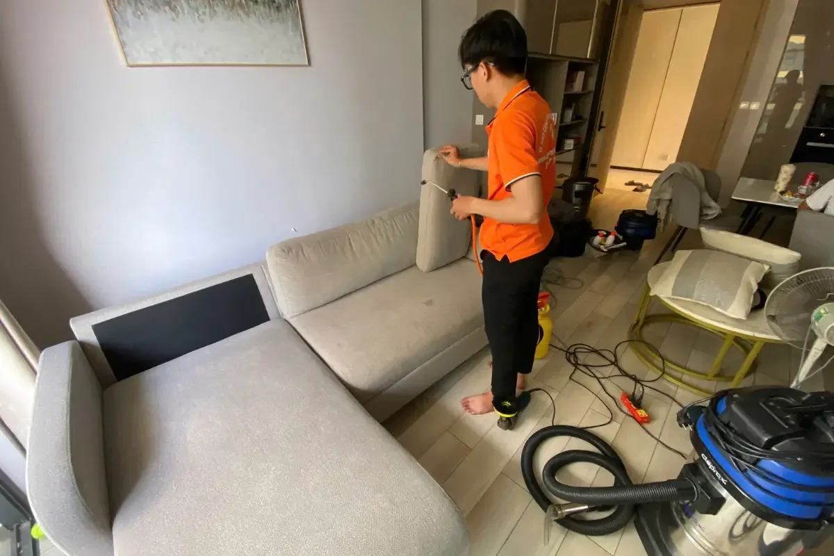 How Often Should You Professionally Clean Your Sofa? | Expert Guide