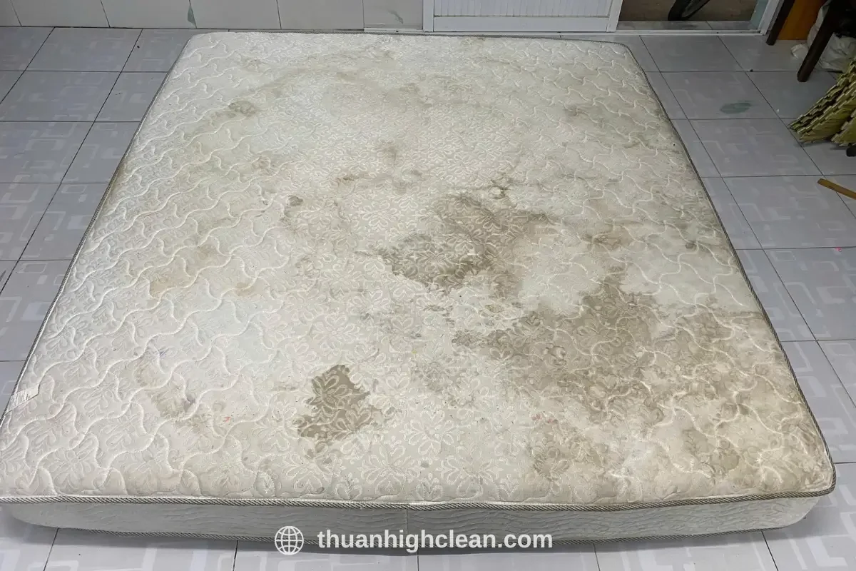 Nếu chỉ bẩn vệ sinh lại là cách tối ưu nhất