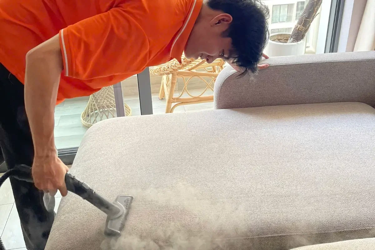 How to Remove Pet Urine Smell From a Sofa | Expert Cleaning Guide