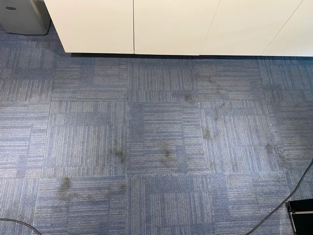 Before cleaning